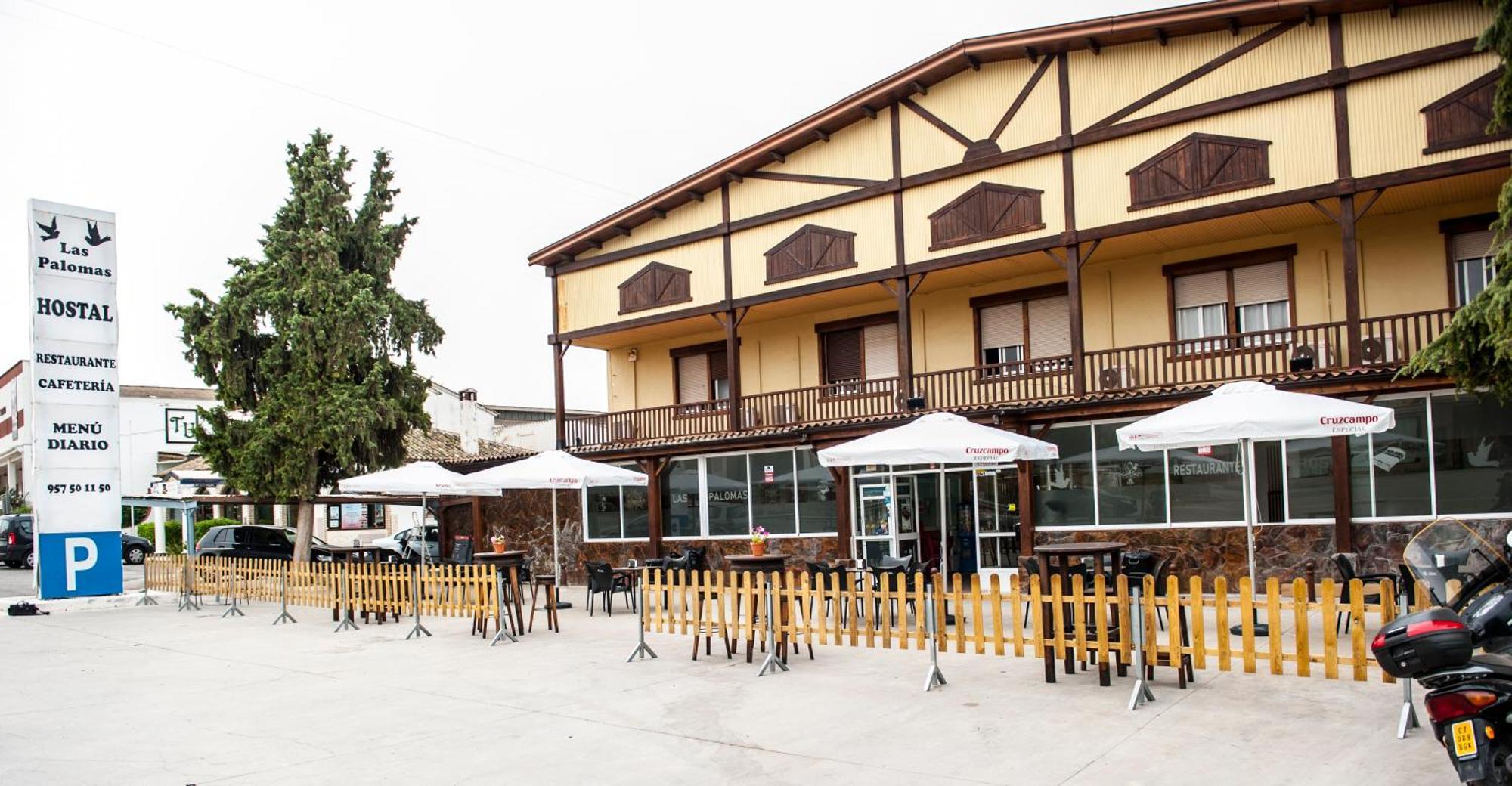 לוסנה Hostal Las Palomas מראה חיצוני תמונה